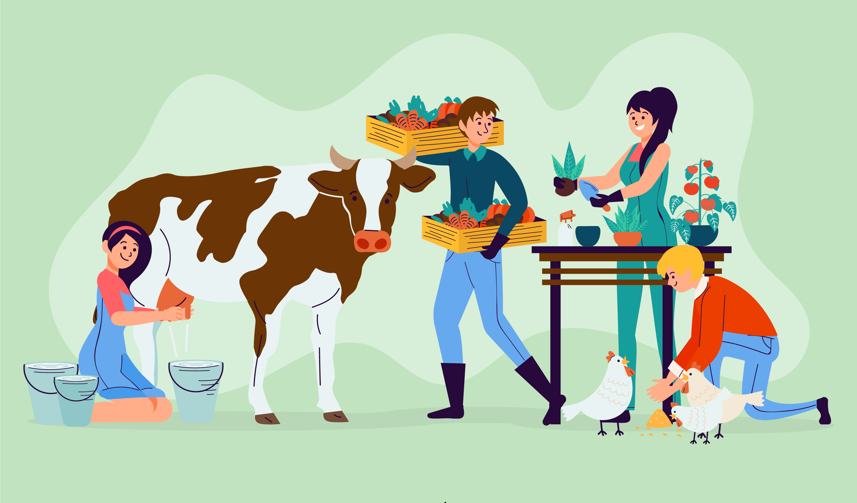 Cattle Fair & Shows